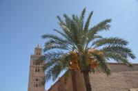 Koutoubia Moschee1