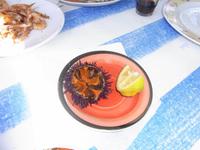 Lecker Seeigel