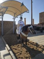 Mausoleum der verstorbenen Könige Mohammed V. und Hassan II.