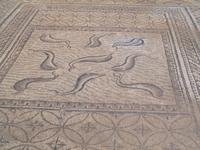 Mosaik in Voloubilis