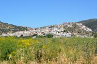Moulay Idriss