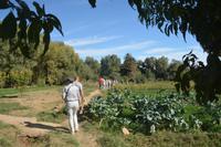 Oasenspaziergang5