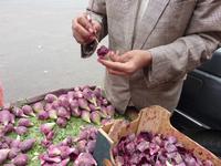 Palmenfrucht in Marrakesch
