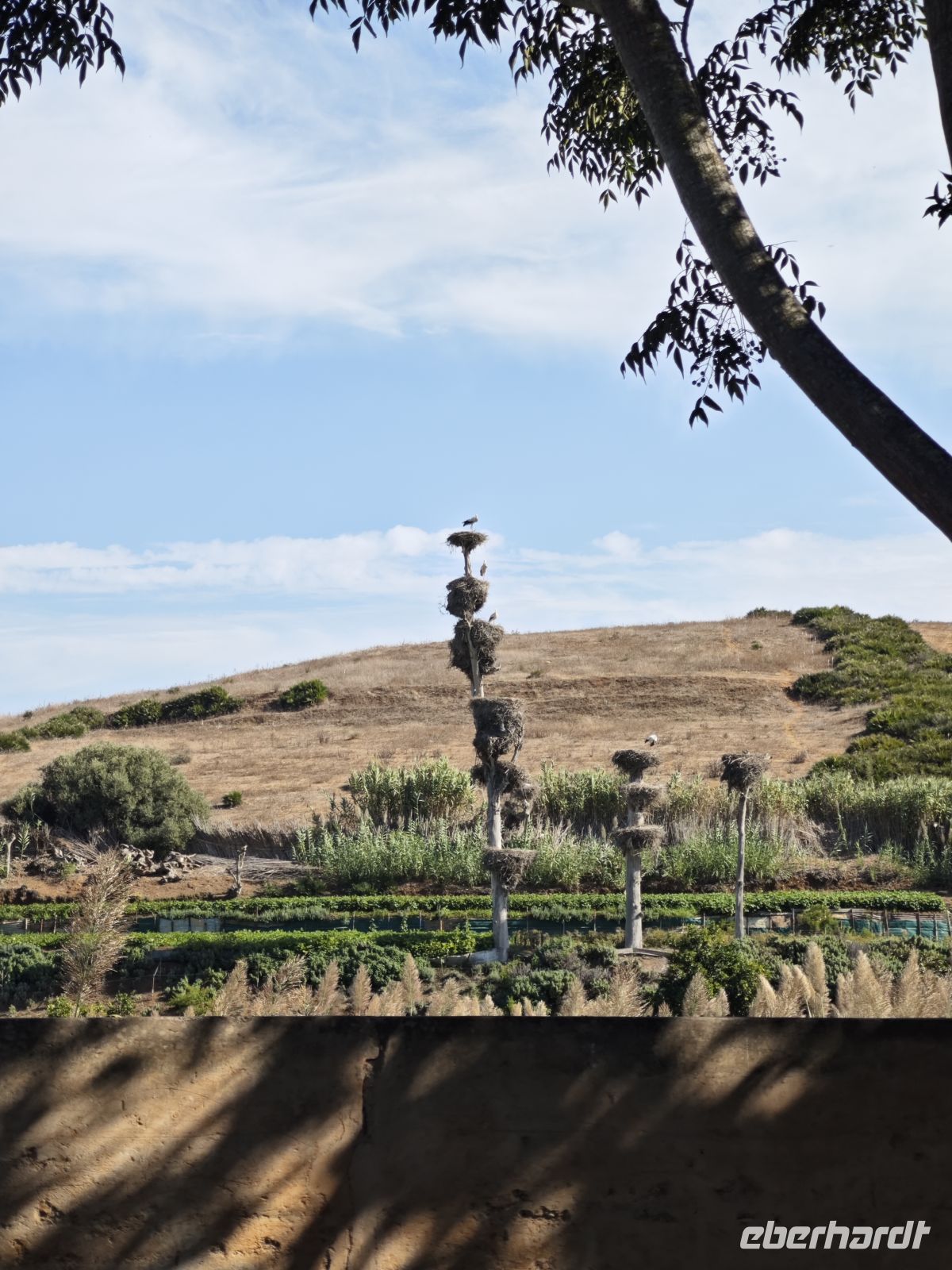 Ruinenensemble von Chellah