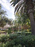 Ruinenensemble von Chellah