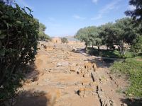 Ruinenensemble von Chellah