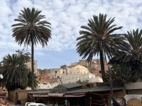 Safi