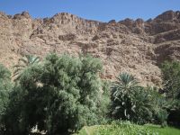 Spaziergang Todra-Schlucht