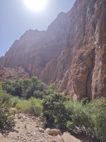 Spaziergang Todra-Schlucht