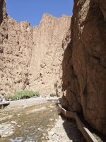 Spaziergang Todra-Schlucht