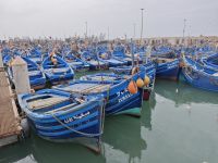 Spaziergang durch Essaouira