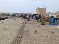 Spaziergang durch Essaouira