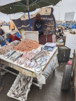 Spaziergang durch Essaouira