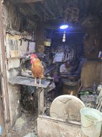 Spaziergang durch die Medina von Fes