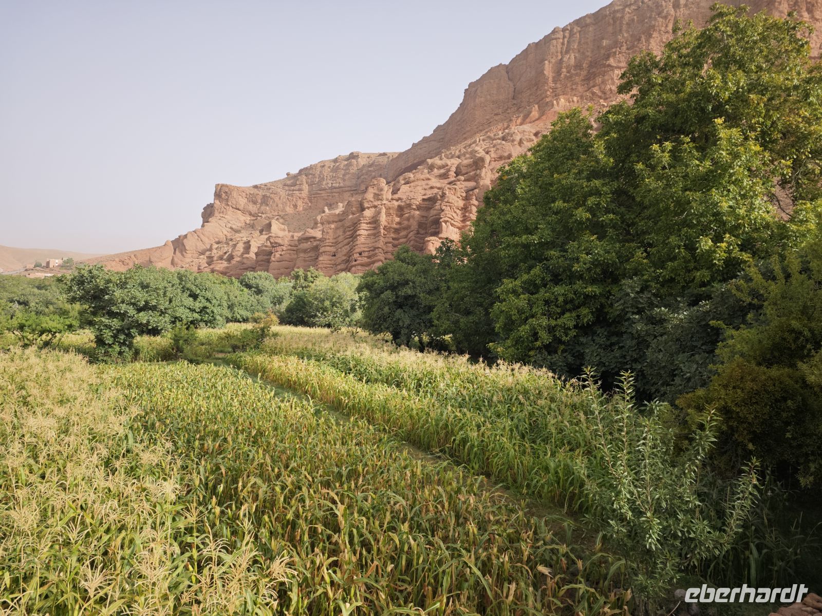 Spaziergang in einer Oase