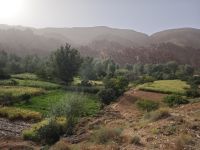 Spaziergang in einer Oase