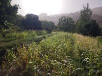 Spaziergang in einer Oase