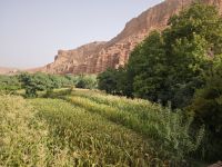 Spaziergang in einer Oase