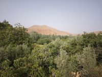 Spaziergang in einer Oase