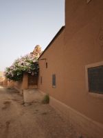 Spaziergang in einer Oase