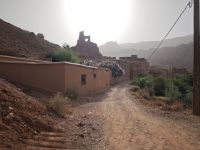 Spaziergang in einer Oase