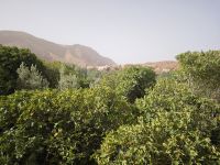 Spaziergang in einer Oase