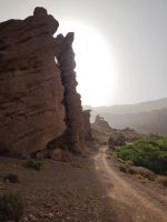 Spaziergang in einer Oase