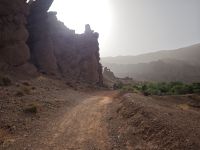 Spaziergang in einer Oase