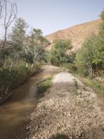 Spaziergang in einer Oase