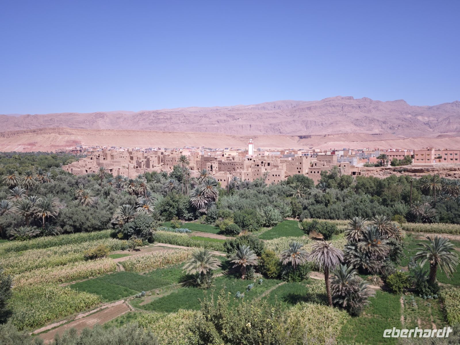 Spaziergang in einer Palmerie in Tinghir