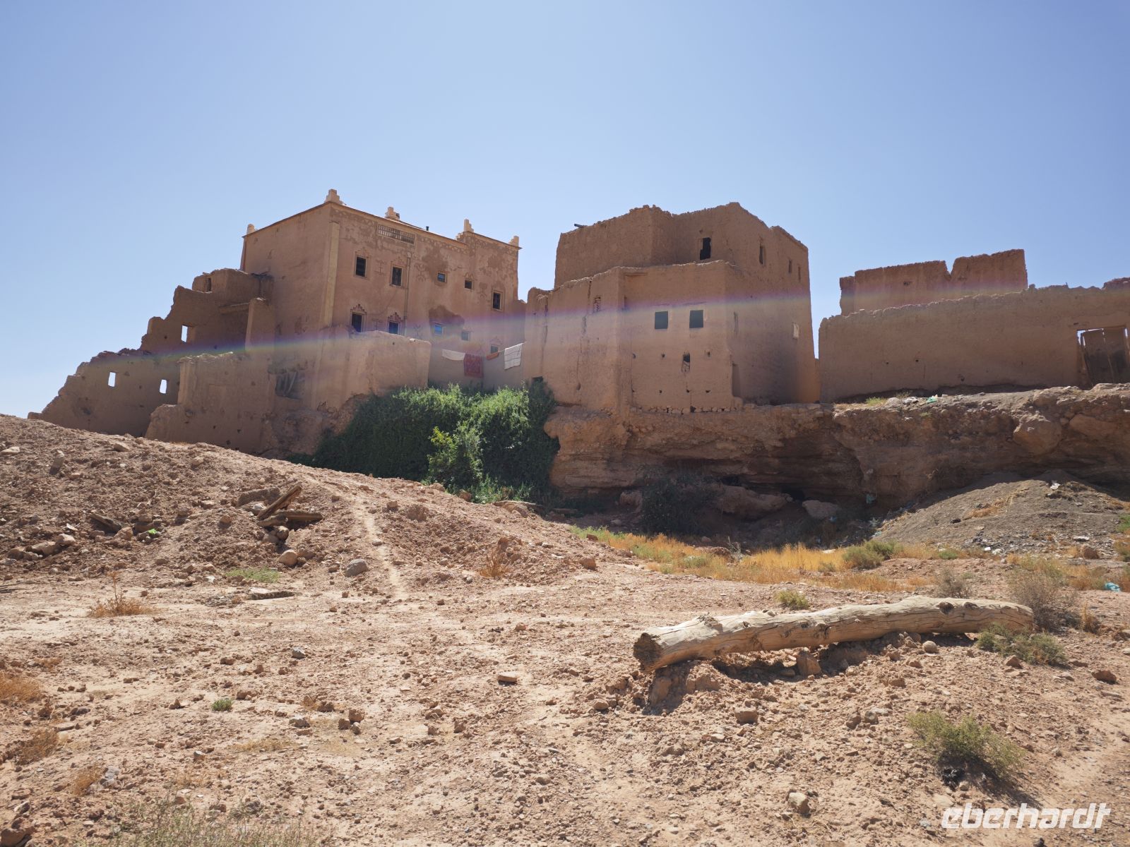 Spaziergang in einer Palmerie in Tinghir