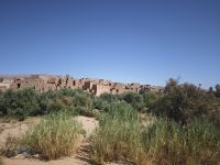 Spaziergang in einer Palmerie in Tinghir