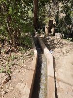 Spaziergang in einer Palmerie in Tinghir