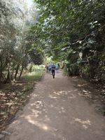 Spaziergang in einer Palmerie in Tinghir