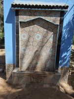 Spaziergang in einer Palmerie in Tinghir