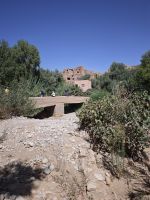 Spaziergang in einer Palmerie in Tinghir