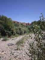 Spaziergang in einer Palmerie in Tinghir