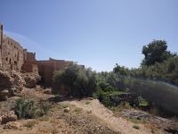 Spaziergang in einer Palmerie in Tinghir