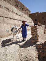 Spaziergang in einer Palmerie in Tinghir