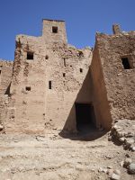 Spaziergang in einer Palmerie in Tinghir