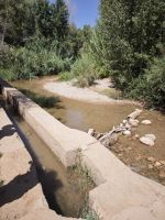 Spaziergang in einer Palmerie in Tinghir