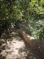 Spaziergang in einer Palmerie in Tinghir