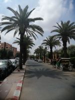 Straßen von Marrakesch