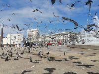 Taubenplatz, Casablanca