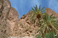 Todra Schlucht1