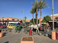 Verkehr  in Marrakesch