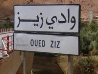 Ziz Tal