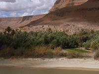 Ziz Tal