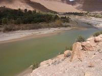 Ziz Tal