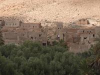 Ziz Tal